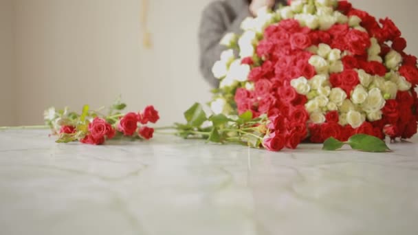 Bouquet coloré lumineux de roses rouges et blanches, fleuriste femme rassemble un bouquet — Video