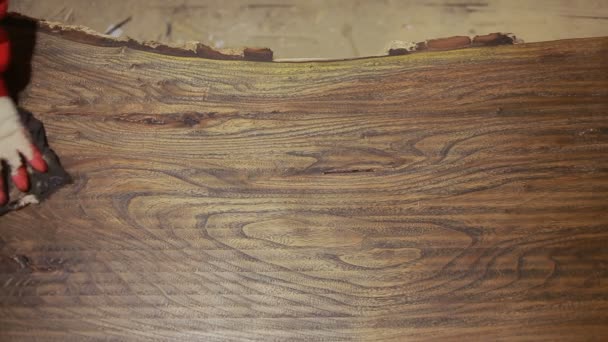 Tischler deckt die Beizplatte ab, trockenes Holz — Stockvideo