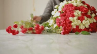 parlak renkli kırmızı ve beyaz gül buketi, çiçekçi kadın bir buket toplar.