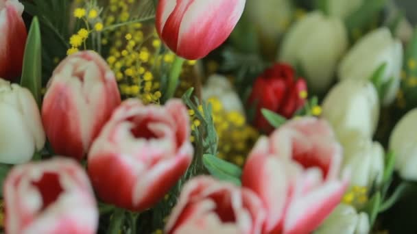 Suculento, colorido buquê de tulipas de cores diferentes e mimosas, close-up — Vídeo de Stock