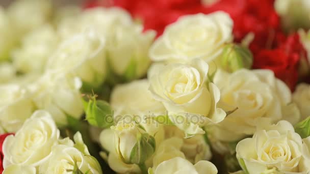 Bright colorful bouquet of red and white roses, close-up — Stock Video