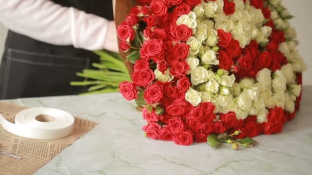 Bright colorful bouquet of red and white roses, florist woman gathers a bouquet — Stock Video