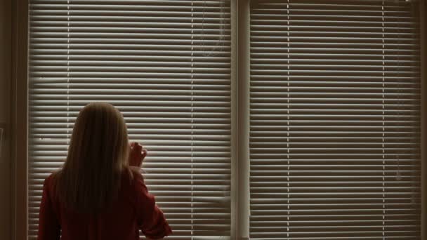 Woman looking out the window through the blinds to the street, spying. suspected — Stock Video