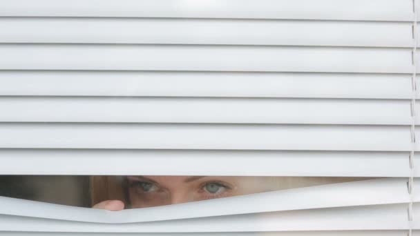 Женщина смотрит в окно через жалюзи на улицу, шпионит. Подозреваемый — стоковое видео