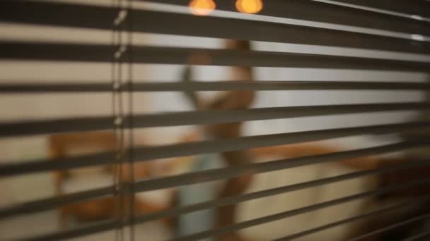 Någon spionerar på en flicka från gatan genom fönstret persienner. brottslighet — Stockvideo