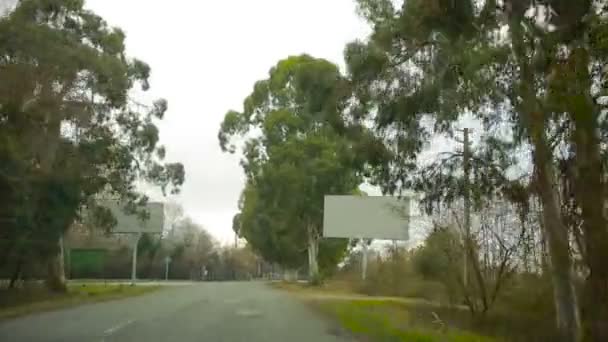 A conduzir de carro ao longo do beco. Árvores em ambos os lados da estrada — Vídeo de Stock