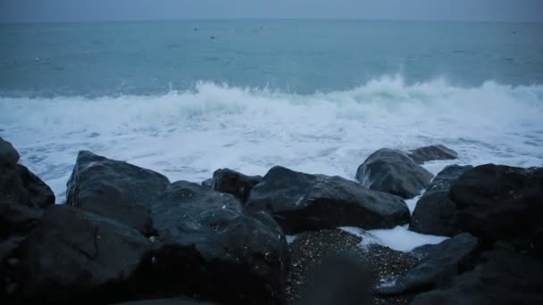 Sea surf. vågorna går på kustnära pebble. — Stockvideo