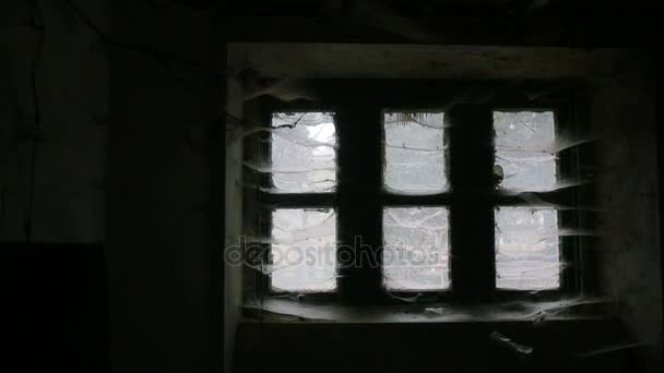 As terríveis janelas da velha casa estão todas numa teia de aranha. vista interior — Vídeo de Stock