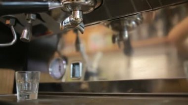 Bir kafe-bar, kahve taneleri kahve Barista hazırlar