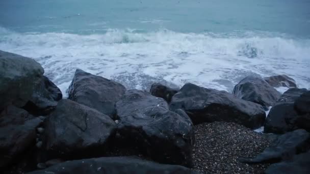 Sea surf. vågorna går på kustnära pebble. — Stockvideo