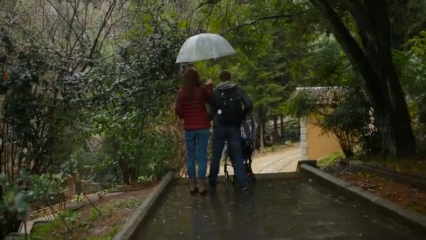 Pappa en mamma, spelen met hun kind, zittend in een wandelwagen: lopen in het park — Stockvideo