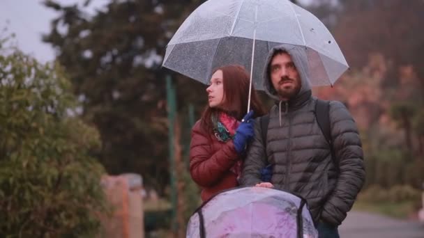 Anya és apa, játszik a gyermek ült egy babakocsi: séta a parkban — Stock videók