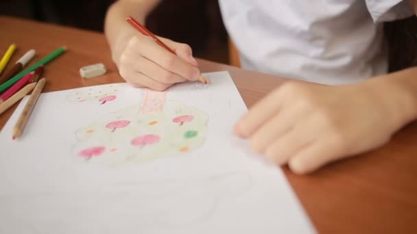 The child draws with pencils. close-up — Stock Video