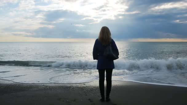 Silhouette of a man and a woman holding their hands against the background of the sea — Stock Video