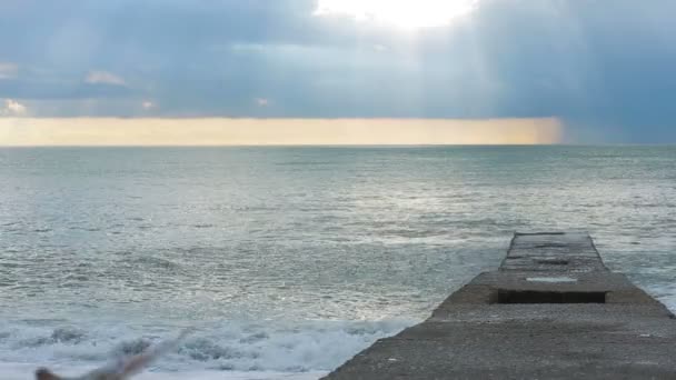 Des pigeons sur la jetée pendant une tempête. Vagues de mer — Video