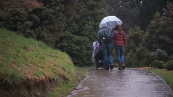 Maman et papa, jouant avec leur enfant, assis dans une poussette : marcher dans le parc — Video