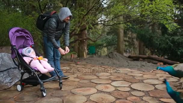 Μαμά και τον μπαμπά, παίζοντας με το παιδί τους, κάθεται σε ένα καρότσι: βόλτα στο πάρκο — Αρχείο Βίντεο