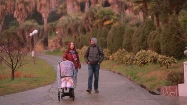 ママとパパ、ベビーカーに座っている自分の子供と遊ぶ: 公園を歩く — ストック動画