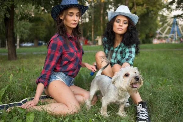 Дві дівчини ходять зі своїм собакою. ковбойський капелюх і плетені сорочки — стокове фото