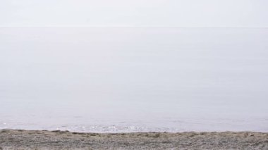 İşadamı elbiseli bir plaj boyunca elini kolunu sallaya dönüyor. güzel plaj hayran