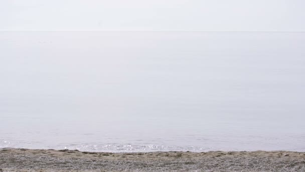 Uomo d'affari passeggia lungo la spiaggia con un completo. ammira la bellissima spiaggia — Video Stock