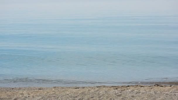 Επιχειρηματίας βόλτες κατά μήκος της παραλίας σε ένα κοστούμι. θαυμάζει την όμορφη παραλία — Αρχείο Βίντεο
