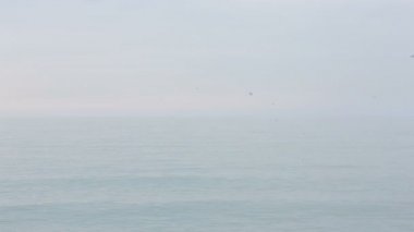 Deniz, bir zaman atlamalı uçan martı