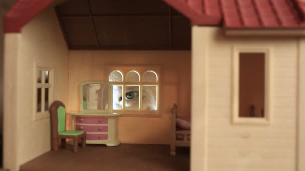 De oog-peers in de doll house, childrens nachtmerries, verschrikkelijke dromen — Stockvideo