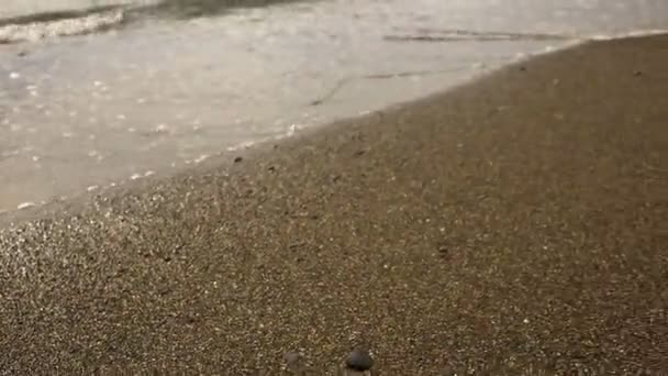 Žena sedí o samotě na opuštěné pláži za špatného počasí, se dívá na moře a žere pizzu — Stock video