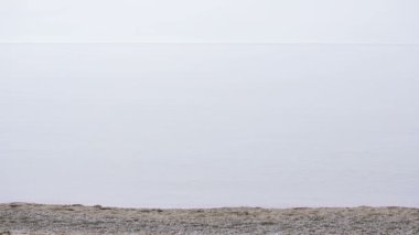 İşadamı elbiseli bir plaj boyunca elini kolunu sallaya dönüyor. güzel plaj hayran