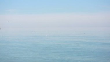 Denize bir fırtına sırasında bir martı sinek