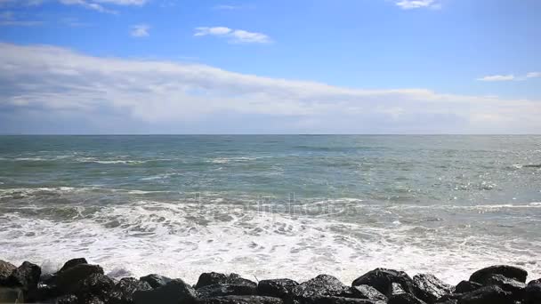 Sea storm, huge waves of foaming are broken against stones — Stock Video