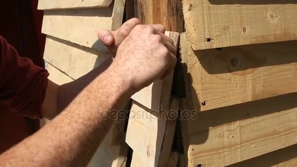 Крупный план, руки плотника гвоздем доска против деревянной стены с молотком и гвоздями — стоковое видео
