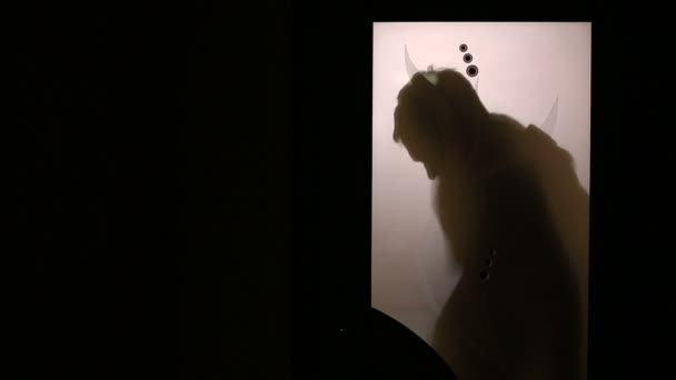 Silhouette di un uomo dietro una porta a vetri. Sta cambiando il suo abito da lavoro. . — Video Stock