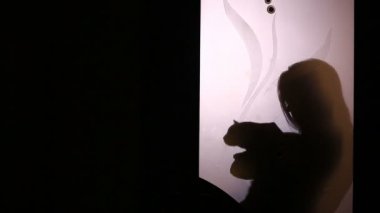 Bir cam kapının arkasında bir kadın silueti. O deozhit kedi ona silah ve bu vuruş. a evde beslenen hayvan.