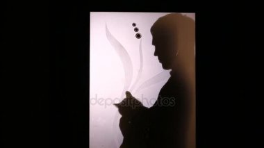 Bir cam kapının arkasında bir adam silüeti. Kedi onun kollarında tutar ve bu vuruş. evde beslenen hayvan.