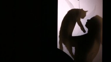 Bir cam kapının arkasında bir kadın silueti. o kedi onun kollarında tutar ve evde beslenen hayvan vuruş.