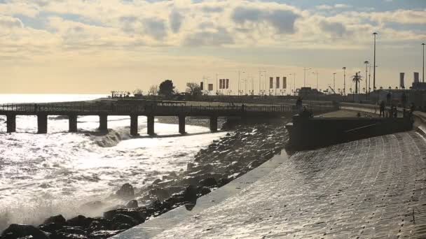 Sea storm, huge waves of foaming are broken against stone beach — Stock Video