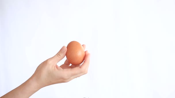 女手捧鸡蛋在白色背景上 — 图库视频影像