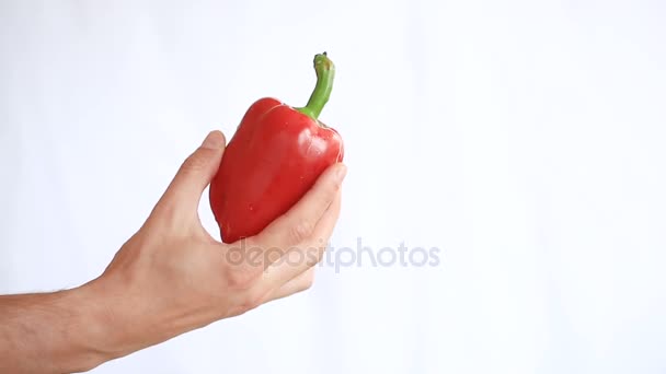 Α επανδρώνει το χέρι που κρατά ένα λαχανικό σε λευκό φόντο. Βουλγαρικά-πιπέρι. πάπρικα — Αρχείο Βίντεο