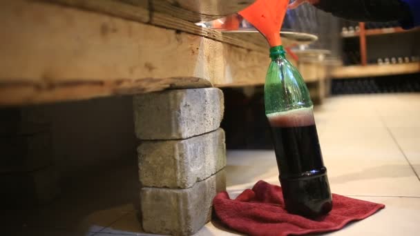 男は、樽からボトルにワインを注ぐ。ワイン保管庫. — ストック動画