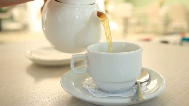 Iemand giet thee uit een theepot porselein wit in een witte mok — Stockvideo