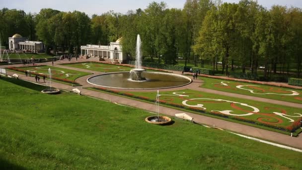 Fontaine avec des statues dans le complexe du Palais Peterhof. Région de Saint-Pétersbourg, Russie. 02.06. 2017 — Video