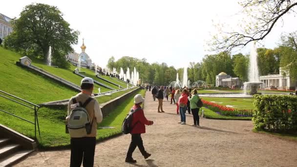 Fontän med statyer i Peterhof palatset komplex. Sankt Petersburg regionen, Ryssland. 02.06. 2017 — Stockvideo