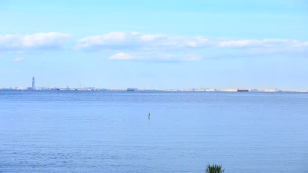 La vue sur la côte de Saint-Pétersbourg depuis la rive du Peterhof. La mer Baltique, le golfe de Finlande — Video