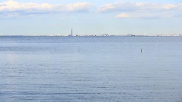 La vista sobre la costa de San Petersburgo desde la orilla del Peterhof. Mar Báltico, Golfo de Finlandia — Vídeo de stock