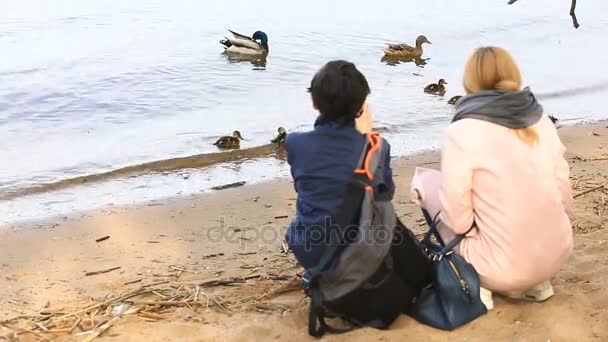 Moeder en zoon neem foto's van een eend met eendjes op de oever van het stuwmeer op een smartphone — Stockvideo