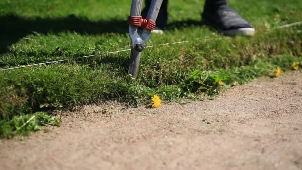 Gros plan de l'herbe coupante avec des élagueuses — Video