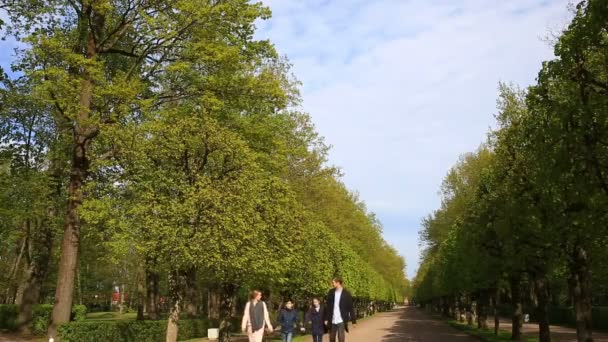 Счастливая семейная прогулка по парку в пальто и куртках в солнечный день — стоковое видео