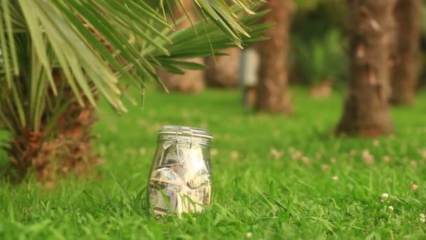 A glass jar with paper money dollars against a palm tree background. Accumulate savings on leave — Stock Video